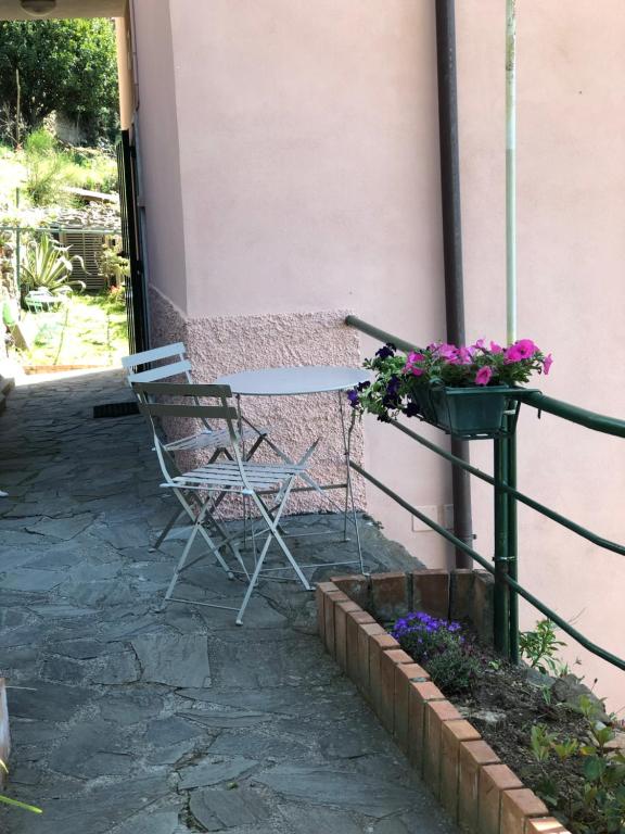 Zahrada ubytování Harmony Affittacamere