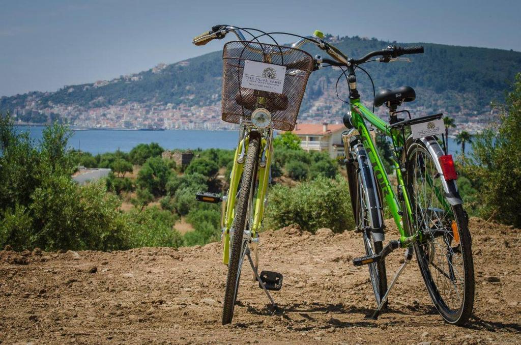 two bikes parked next to each other in the dirt at The Olive Yard in Gythio
