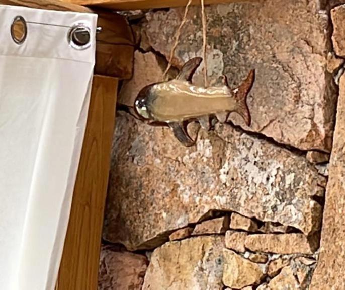 Zdjęcie z galerii obiektu casa sardina palau w mieście Palau