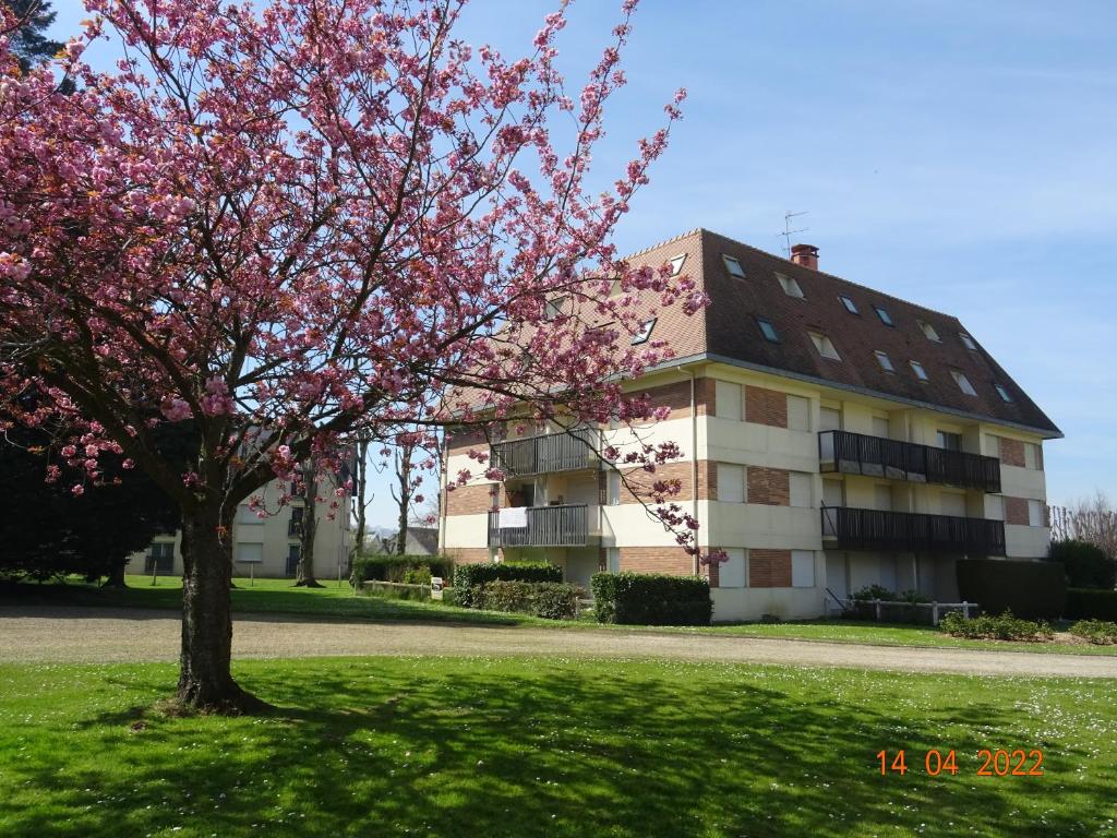 un árbol en el césped frente a un edificio en Studio climatisé à 10 min de la plage, en Villers-sur-Mer