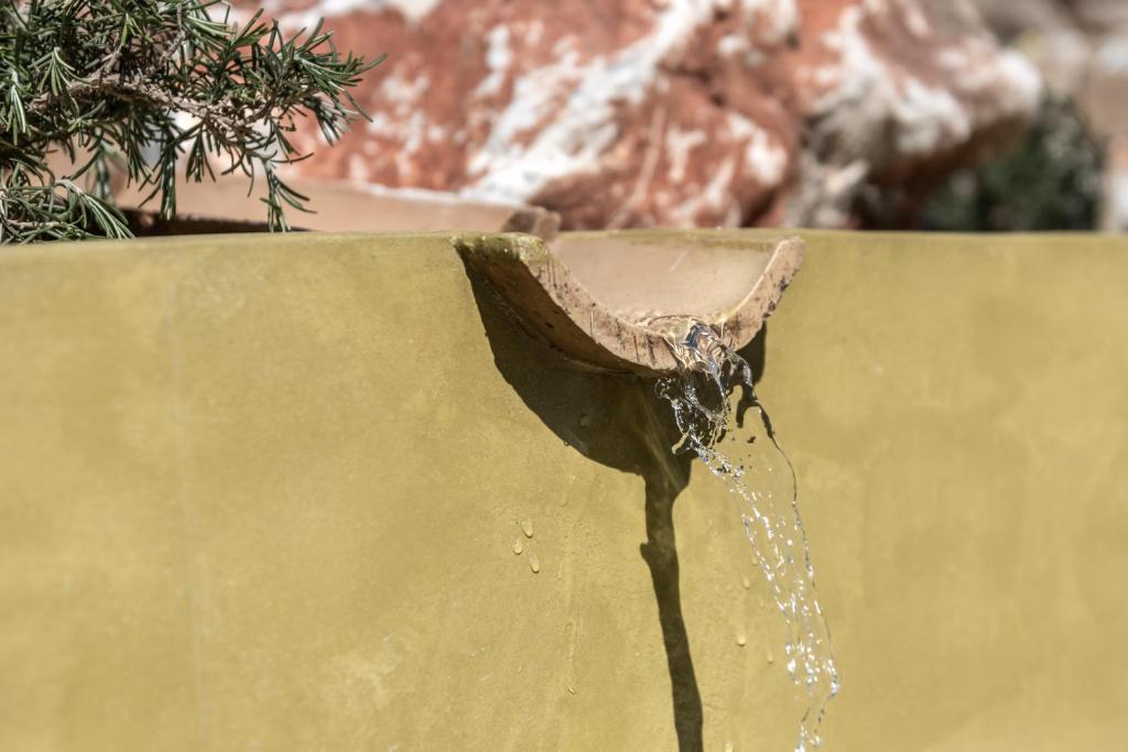 a bird drinking water from a fountain at The Olive Yard in Gythio
