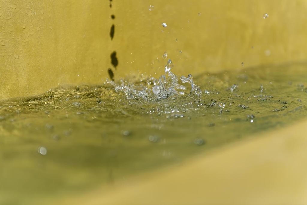 a splash of water in a bowl of water at The Olive Yard in Gythio