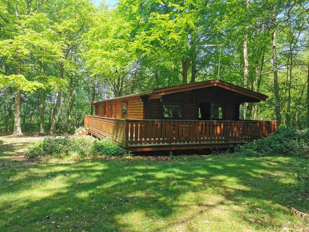 una cabaña de madera en medio de un bosque en Fern Lodge en Louth