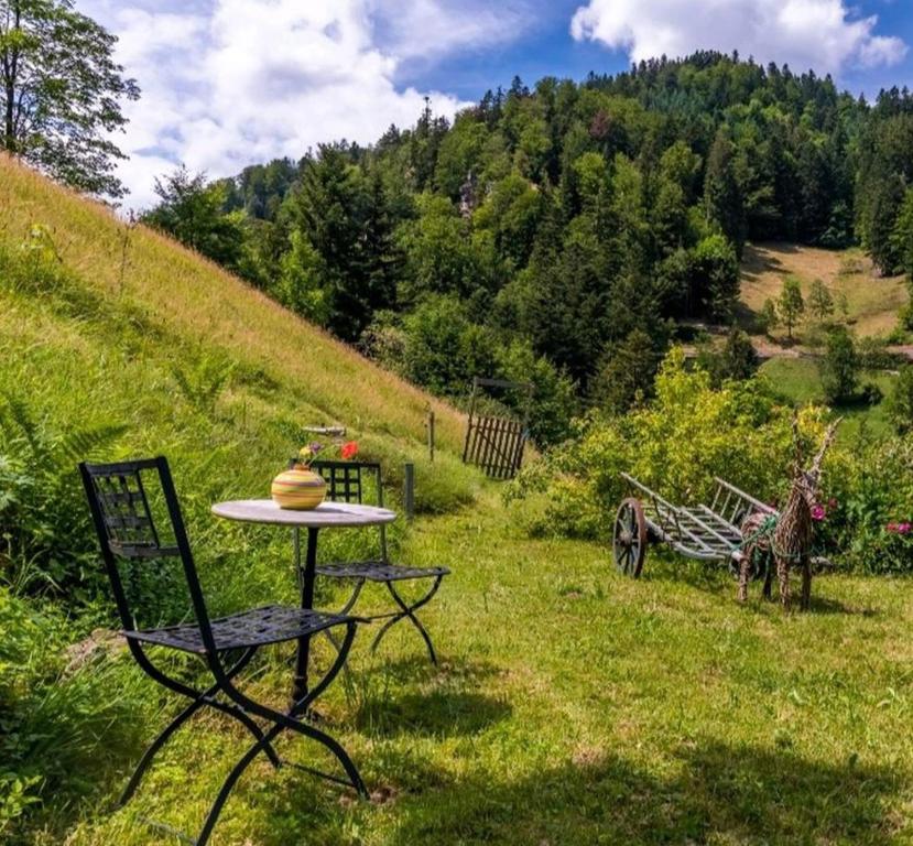 einen Tisch und Stühle auf einem Feld mit einer Giraffe in der Unterkunft Ferienwohnung Teich 11 in Gütenbach