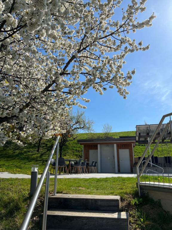 Vonkajšia záhrada v ubytovaní eckbergerhof