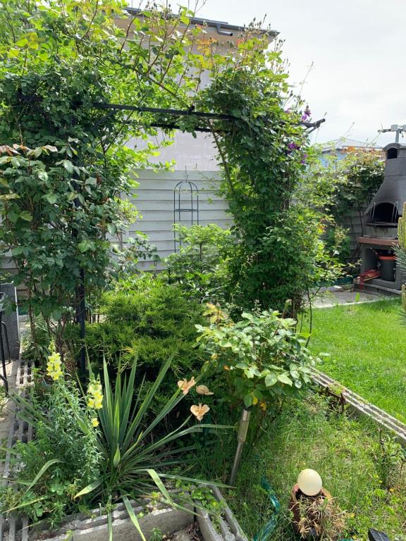 Zahrada ubytování VillaGrey Tunari