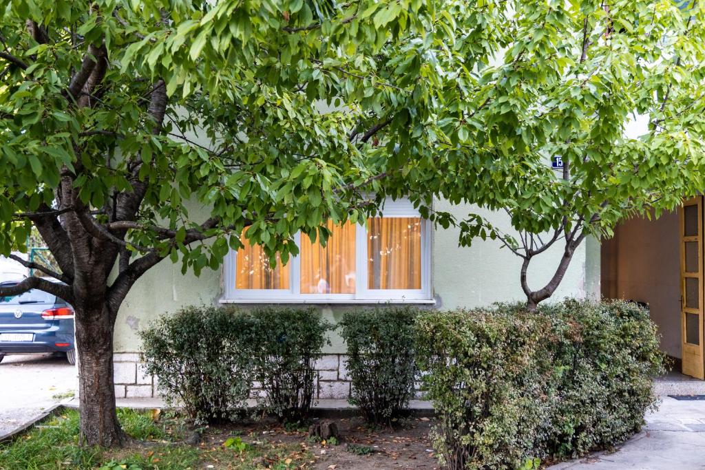 ein Haus mit Bäumen davor in der Unterkunft Wild in Sinj