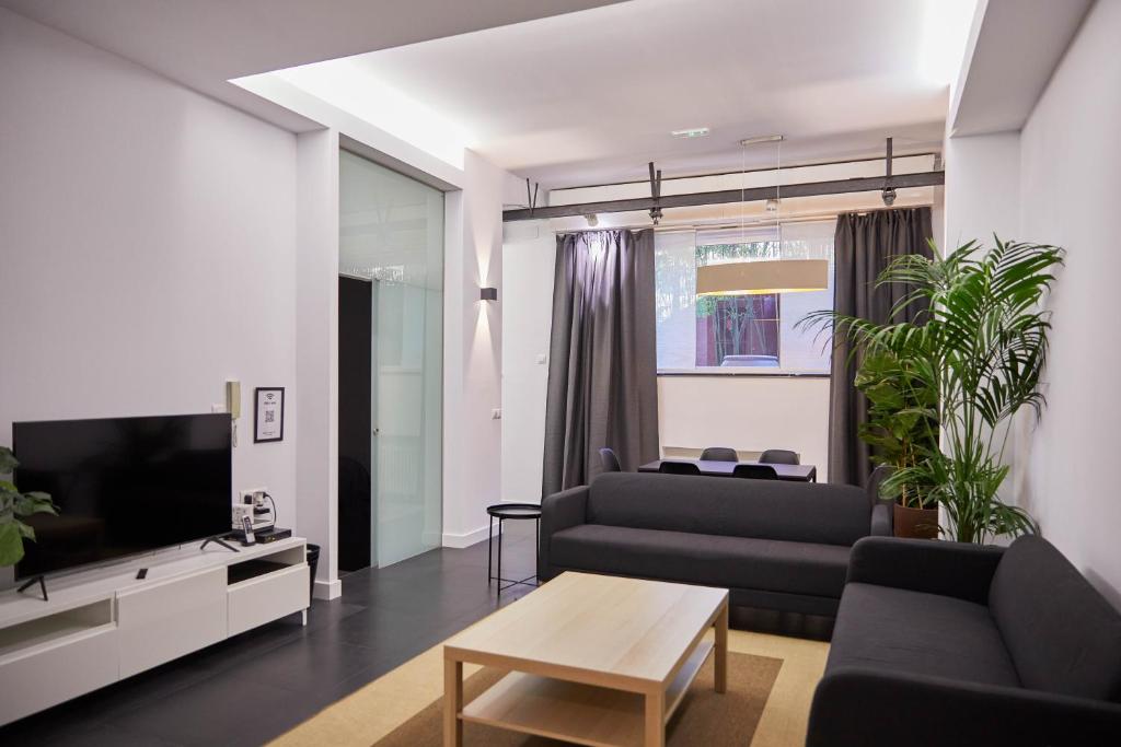 - un salon avec un canapé et une télévision dans l'établissement LOFT PRINCIPE PIO, à Madrid