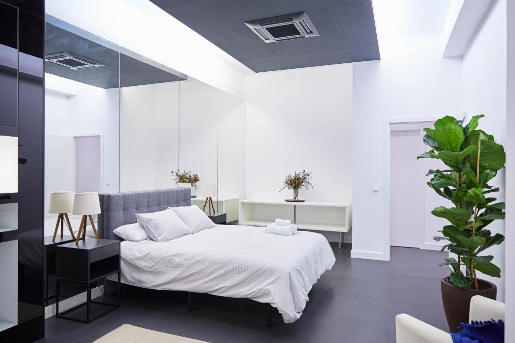 LOFT PRINCIPE PIO - 6