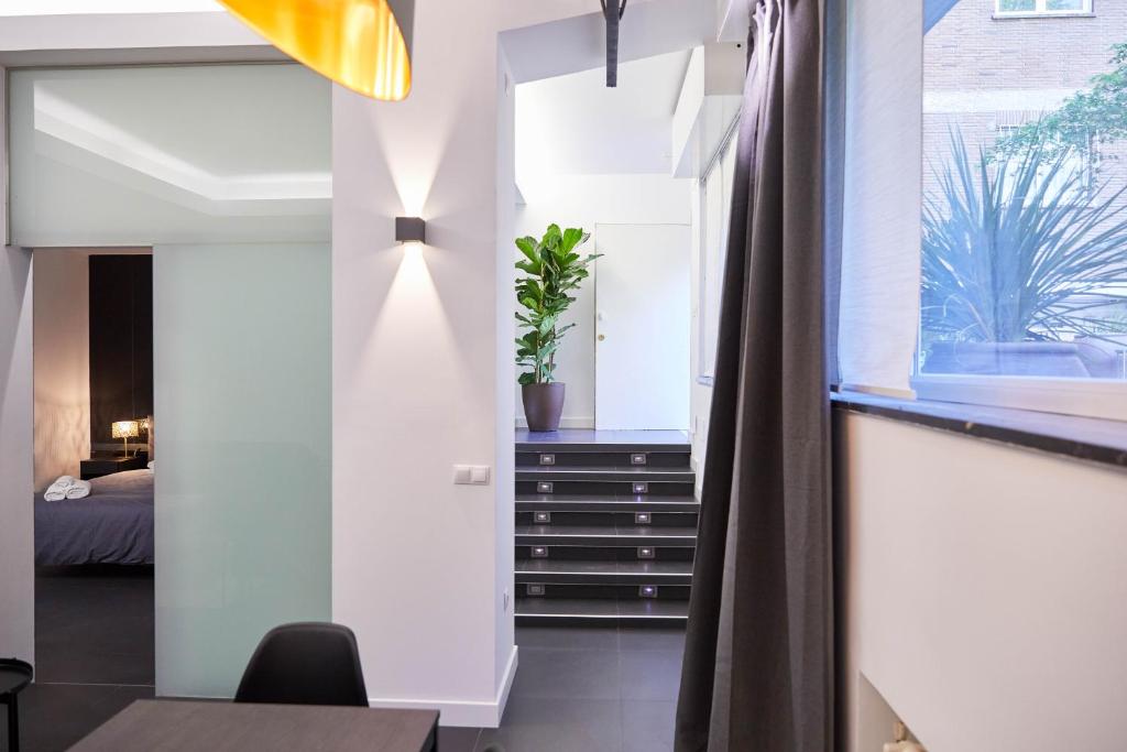 LOFT PRINCIPE PIO - 4