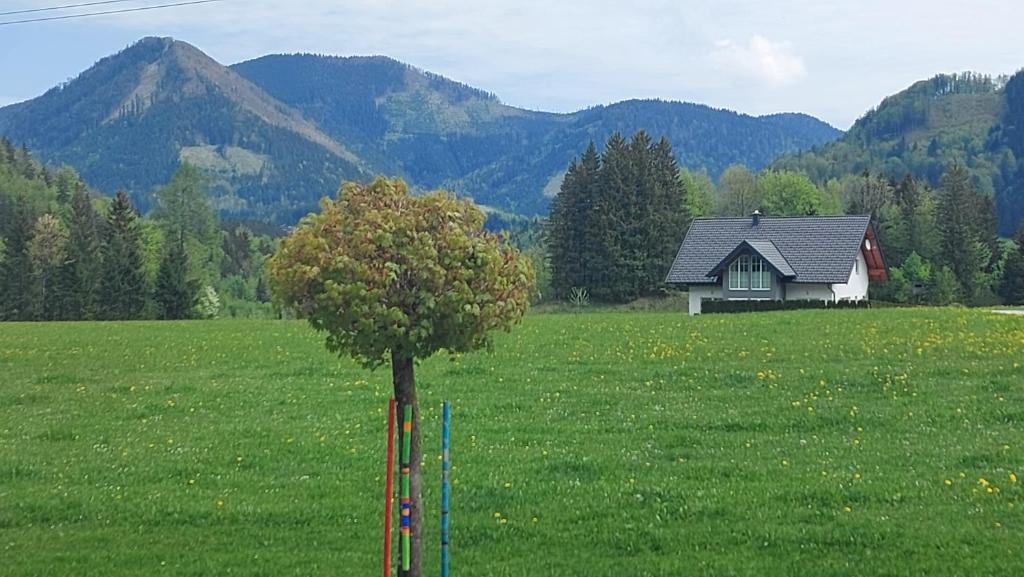 Příroda nedaleko apartmánu