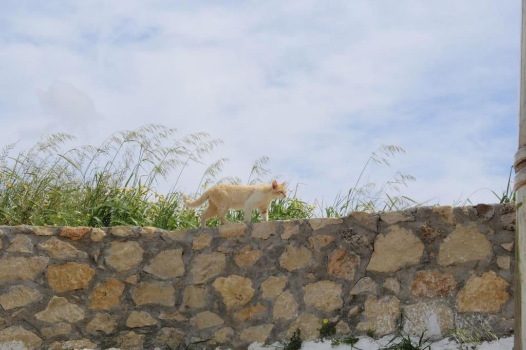 Fotografie z fotogalerie ubytování Tranditional Stone House v destinaci Agios Myronas