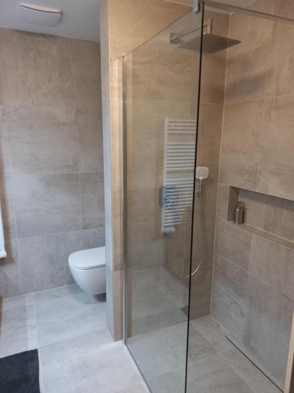 Koupelna v ubytování Apartmán AČKO Polanský Dvůr - Velké Karlovice