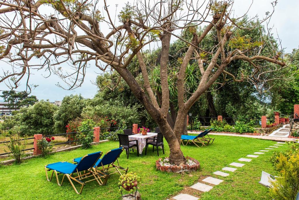 Um jardim no exterior de Bozikis Studios
