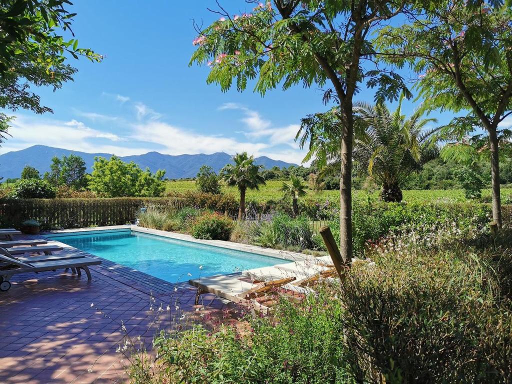 una piscina en un patio con una mesa de picnic en Clos Des Aspres, en Ortaffa