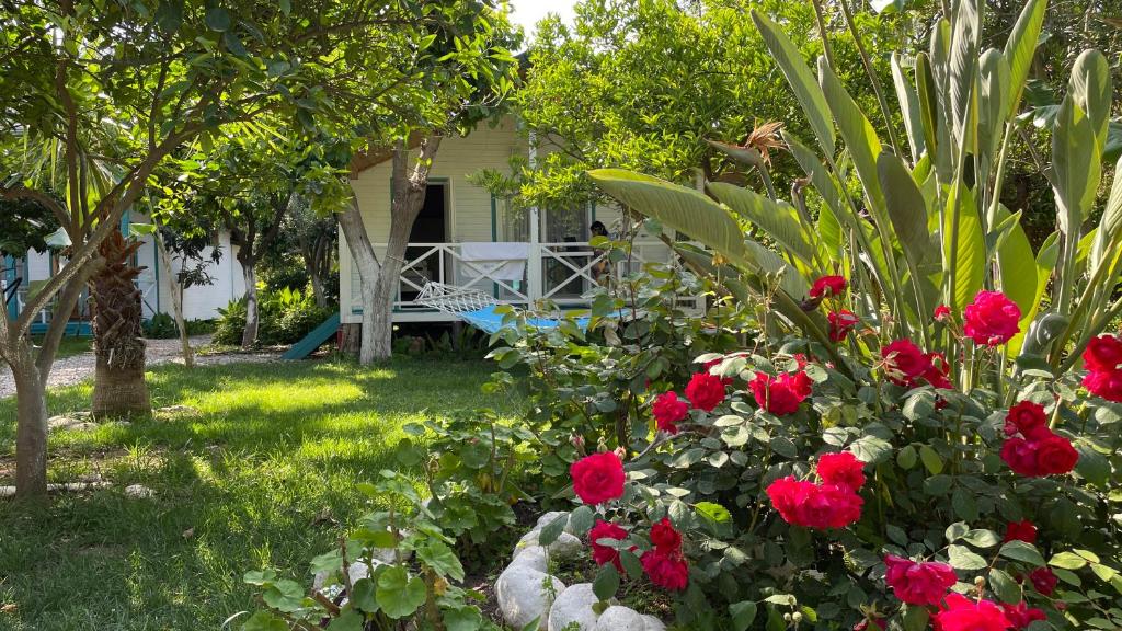 Zahrada ubytování Bellerofon Beach Otel