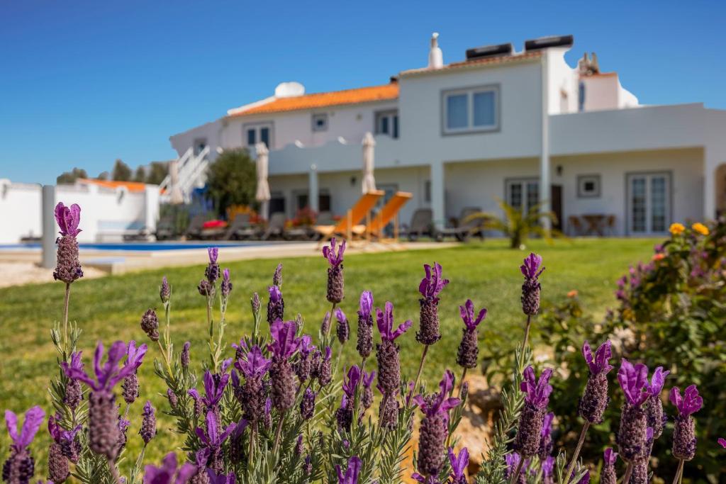 Fotografie z fotogalerie ubytování Jardim Oasis Apartment v destinaci Lagoa