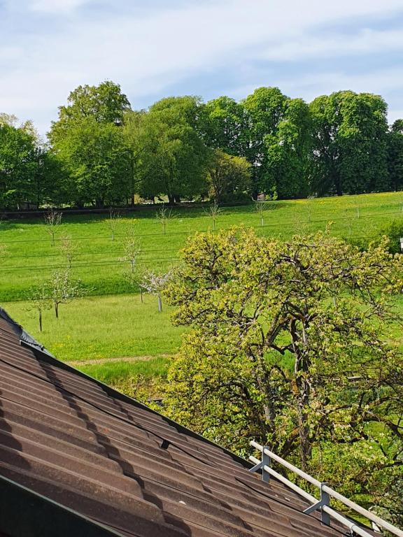 Příroda nedaleko apartmánu