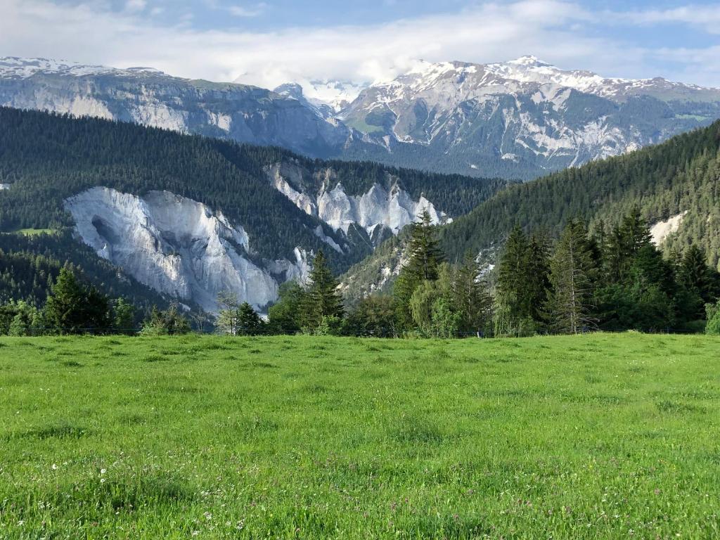 Příroda nedaleko apartmánu