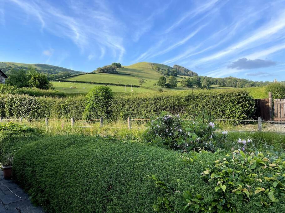 a garden with a hill in the background at Y Felin Bed and Breakfast and Smallholding in Caersws