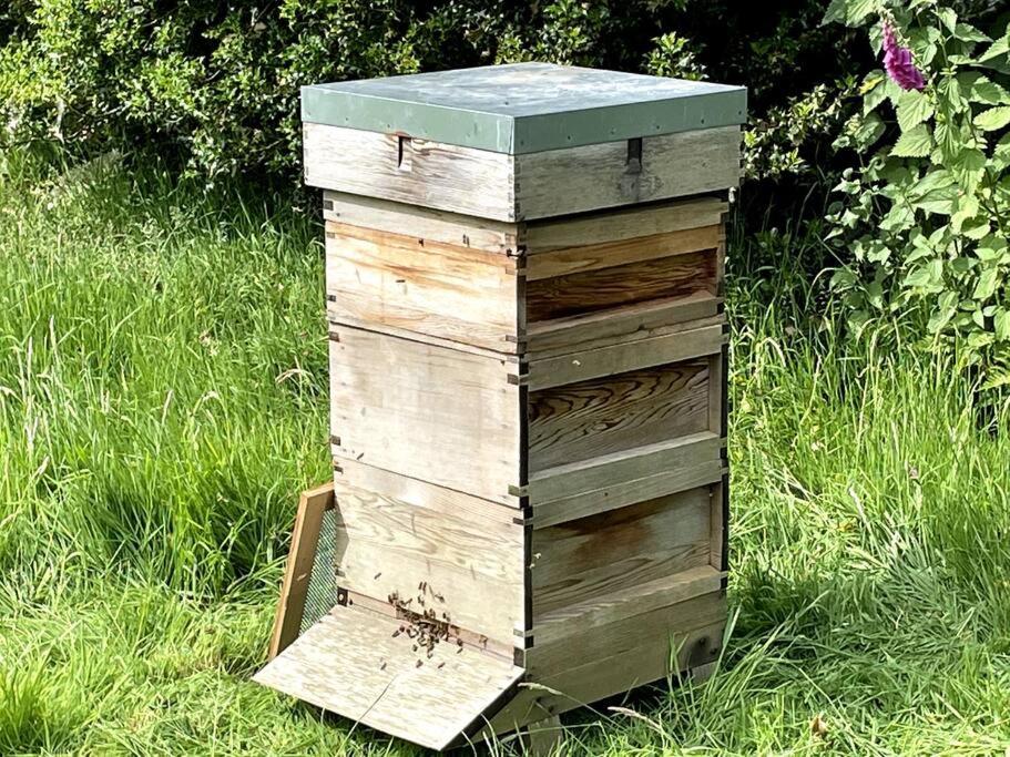 a wooden beehive sitting in the grass at Y Felin Bed and Breakfast and Smallholding in Caersws