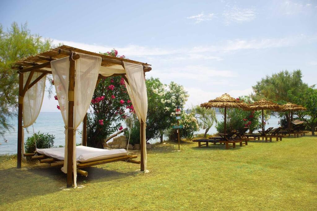 Zahrada ubytování YOLO Resort - Notte