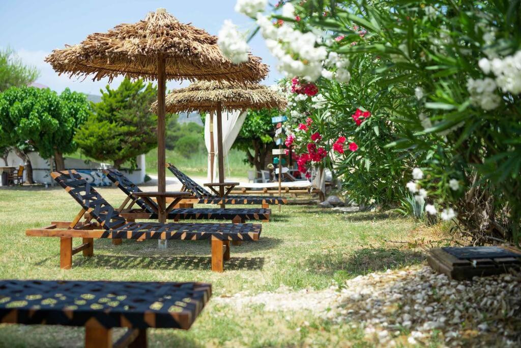 Zahrada ubytování YOLO Resort - Notte