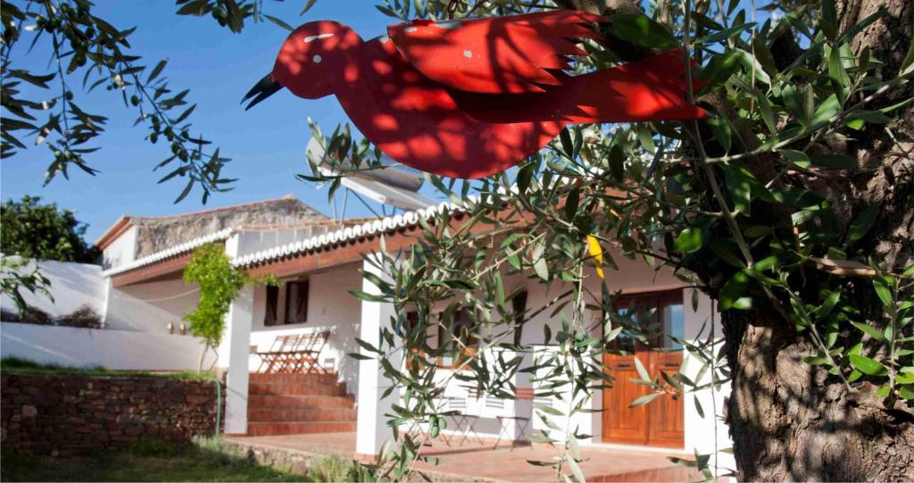 una mariposa roja en un árbol frente a una casa en Ecoland Casa de Campo, en Mértola