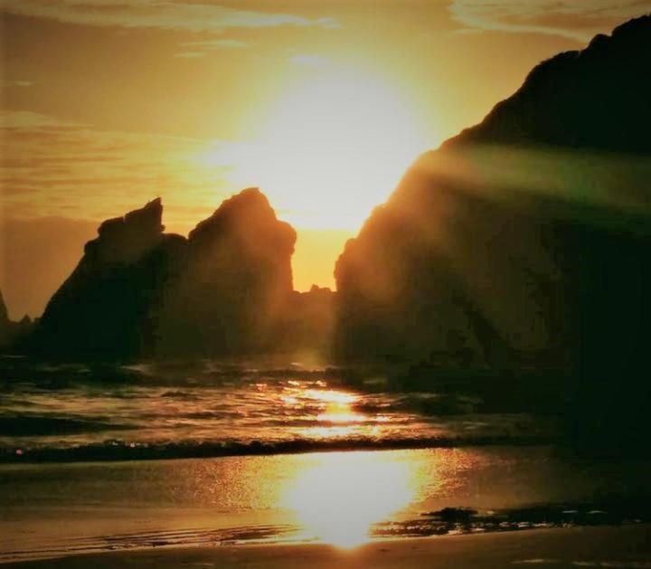 DepartamentoVista Queule