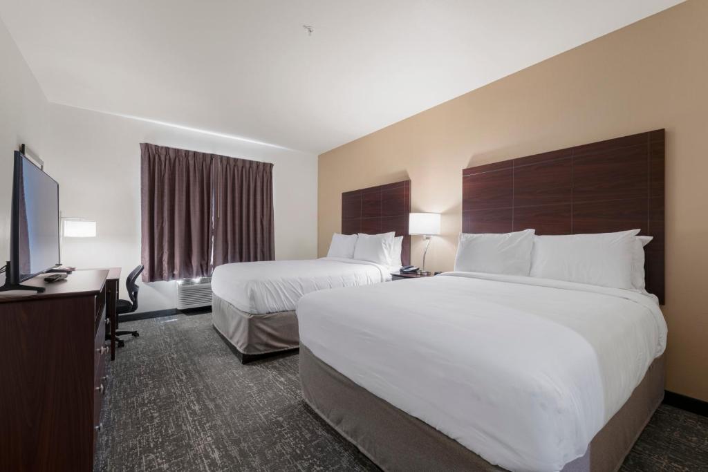Cobblestone Hotel & Suites - Urbana - Queen Studio