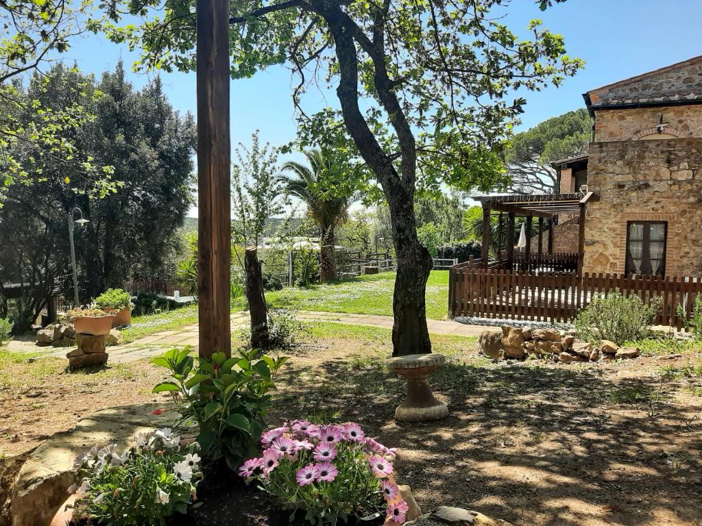 Agriturismo e Glamping Serraiola Alta - Studio With Balcony
