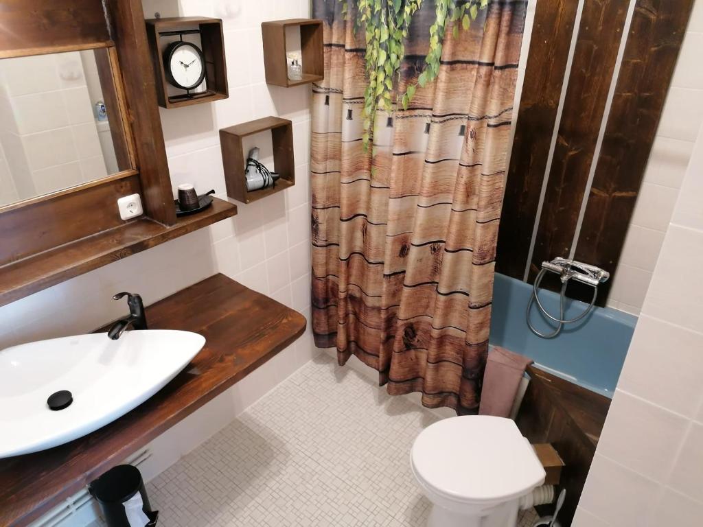 a bathroom with a sink and a toilet at Brummers Ferienwohnung in Wildemann
