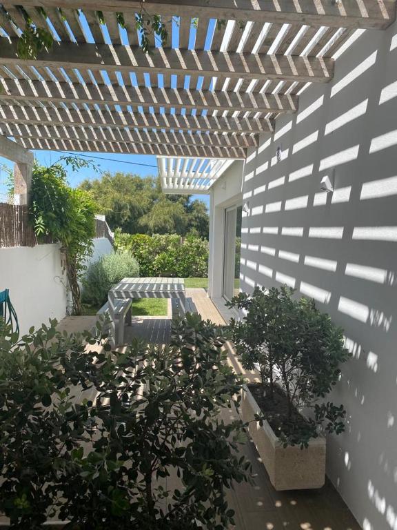 Um jardim em Casa da Mondina Comporta