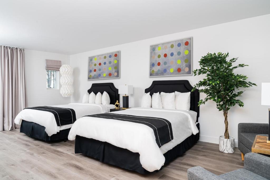 Essex House Hotel - Queen Suite
