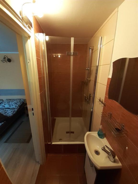 Kúpeľňa v ubytovaní Willa Parkowa