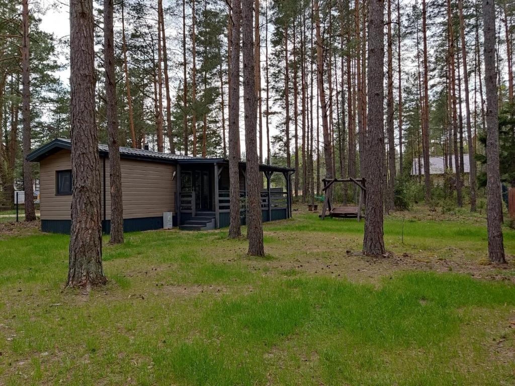 une cabane au milieu d'une forêt plantée d'arbres dans l'établissement domki przy lipowej 16, à Łuka