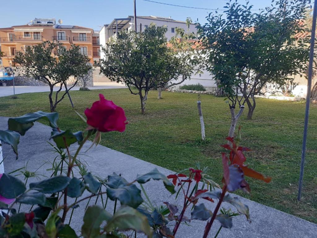 Skiathos Maria Apartments - 2