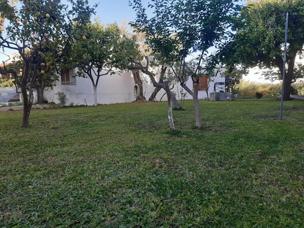 Skiathos Maria Apartments - 5