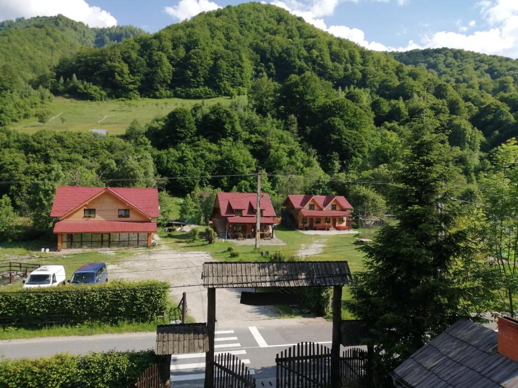 uma vista para uma aldeia com casas e uma montanha em Complex turistic Nora Rau Sadului em Rau Sadului