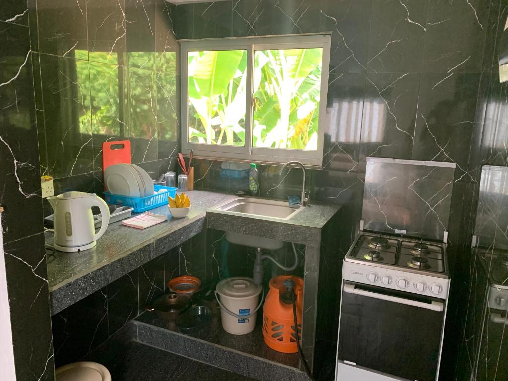 Kuchyň nebo kuchyňský kout v ubytování Villa Manoir
