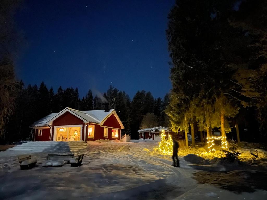 Beautiful house in the nature with private river access v zimě