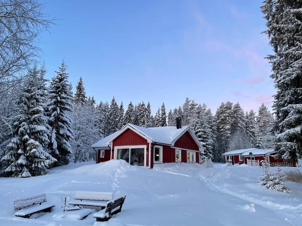 Beautiful house in the nature with private river access v zimě