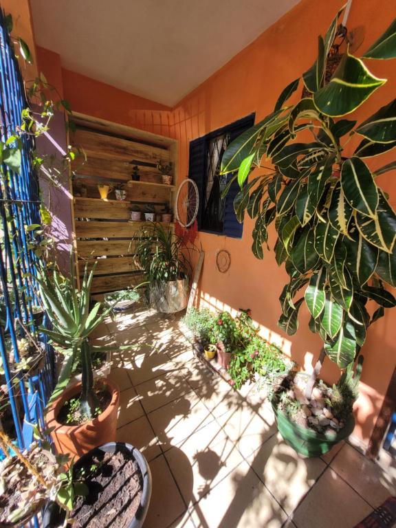 Um jardim em Casa di Vó