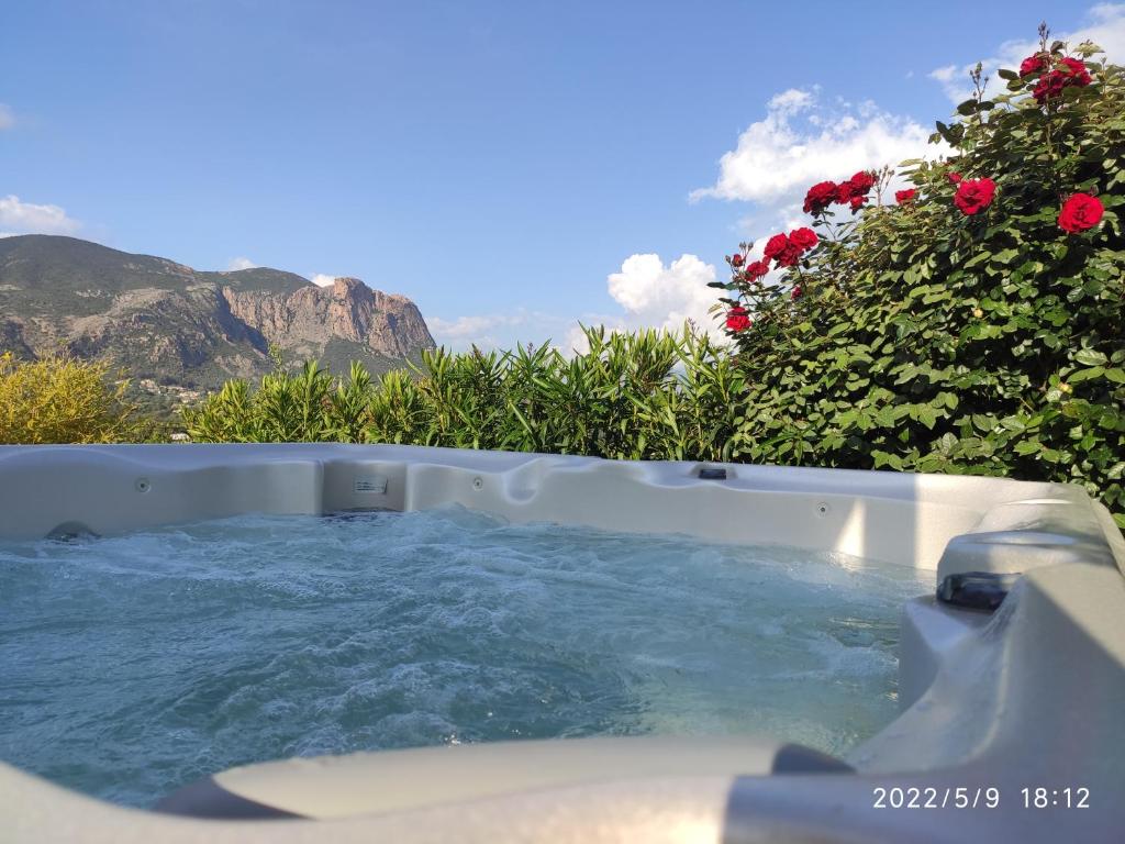 a hot tub in a garden with flowers at Claude et Marie-France in Alata