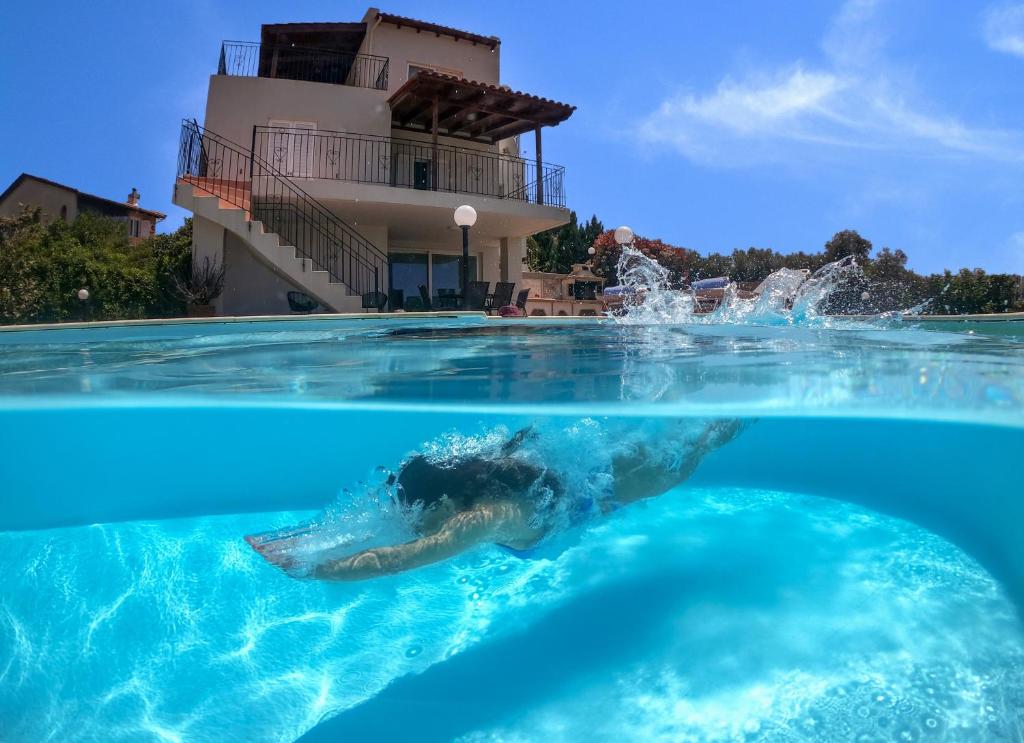 een dolfijn zwemmen in een zwembad voor een huis bij Villa Thallo in Galatás