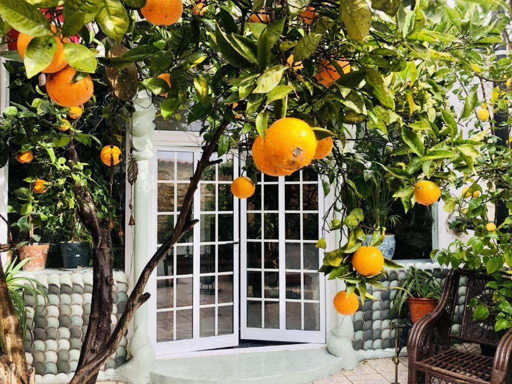 un naranjo delante de una puerta en Beautiful House in Algarve Portugal, en Mexilhoeira Grande
