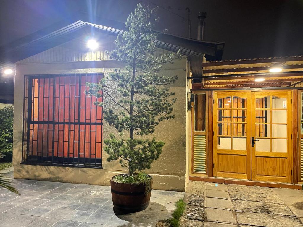 a tree in a pot in front of a house at Manso de Velasco in Rancagua