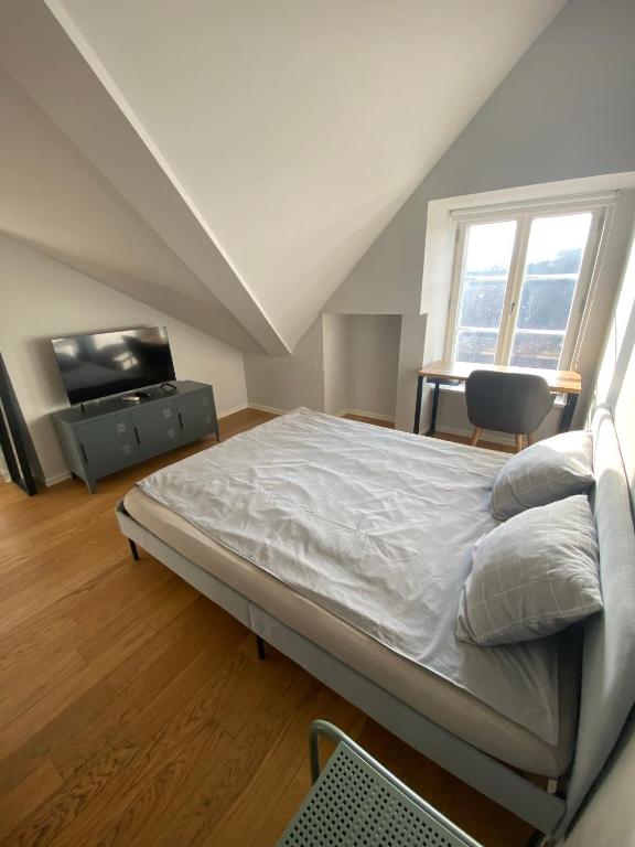 Lighthouse Apartments - Studio Apartment