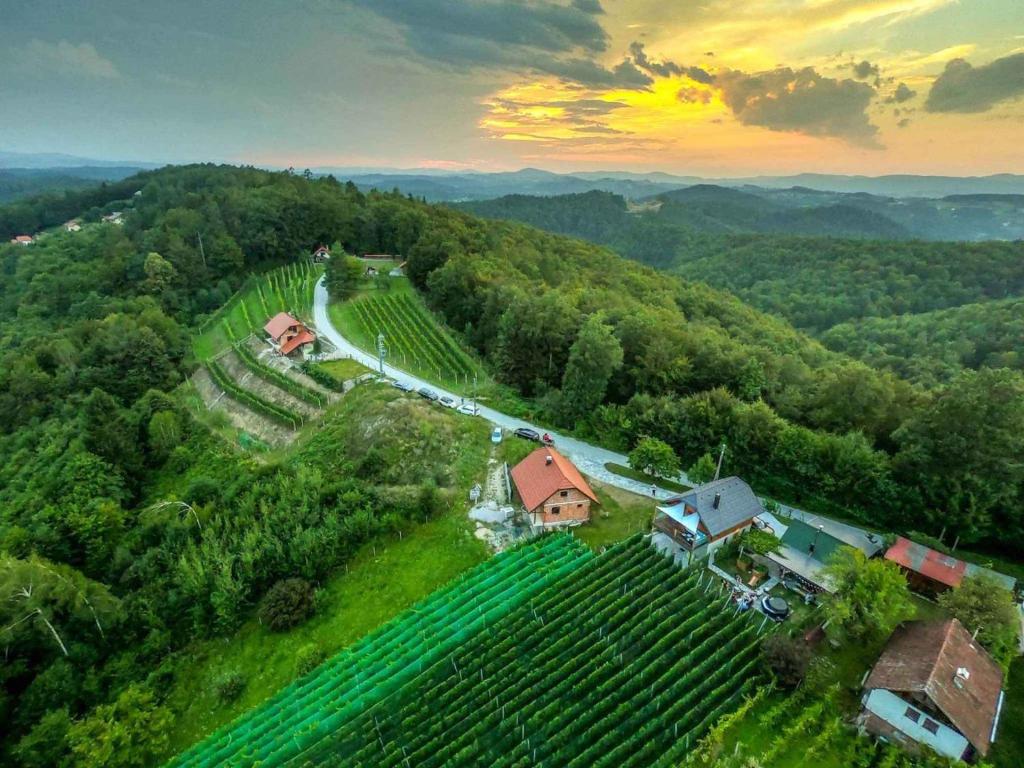 Holiday home in Trebnje Kranjska Krain 42897 - Holiday Home 1