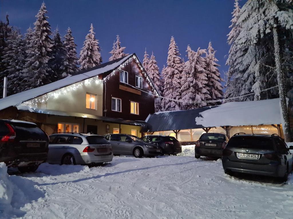 Cabana Mălina Vârtop - Housity